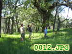 Picture 0012