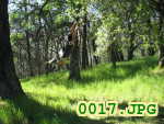 Picture 0017
