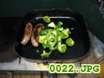 Picture 0022