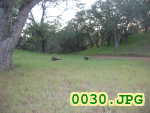 Picture 0030