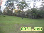 Picture 0031