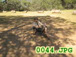 Picture 0044