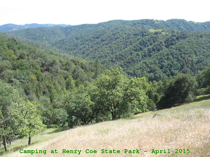 Picture 0005
