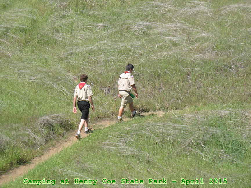 Picture 0006