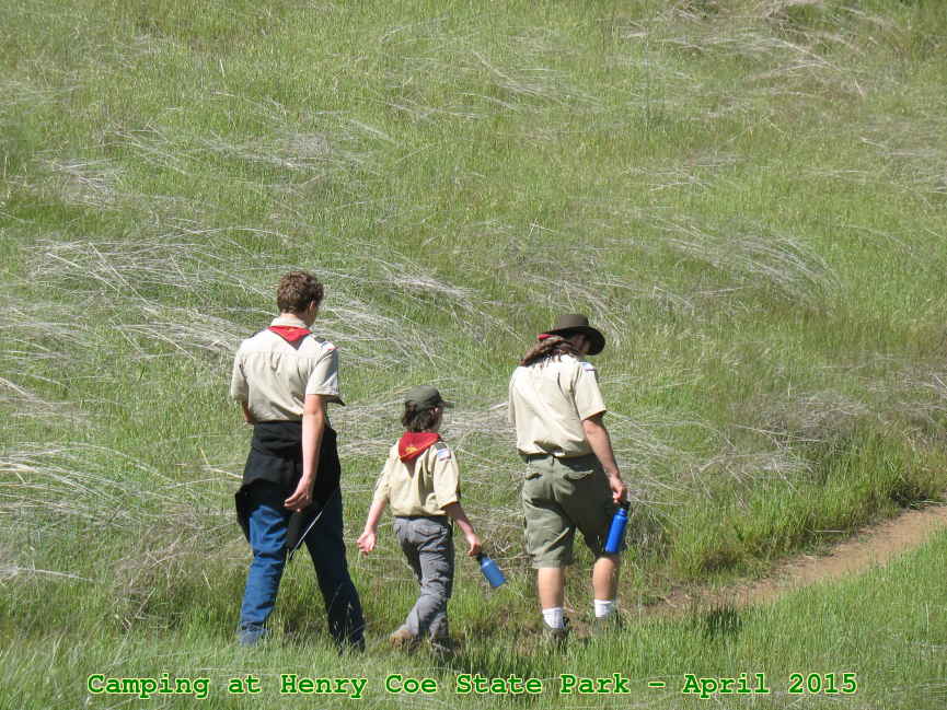 Picture 0007