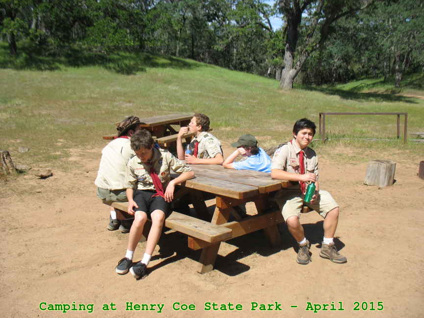 Picture 0008