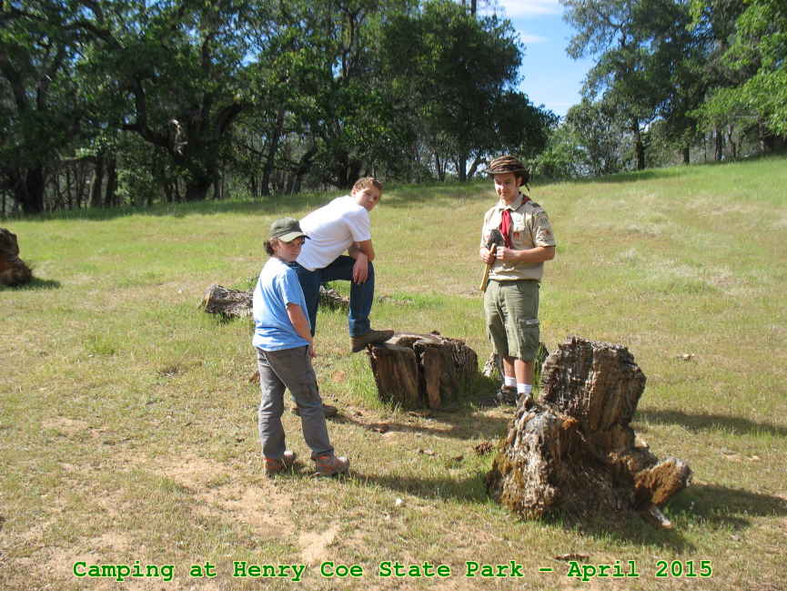 Picture 0009