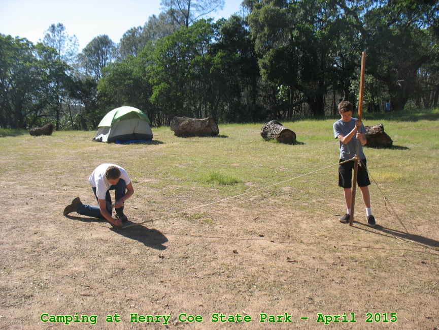 Picture 0011