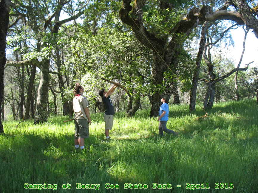 Picture 0012