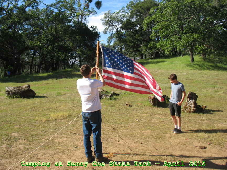 Picture 0013