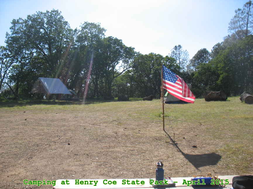 Picture 0015