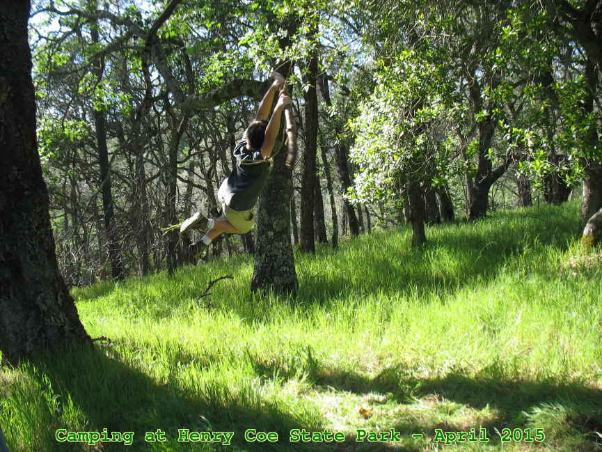 Picture 0017