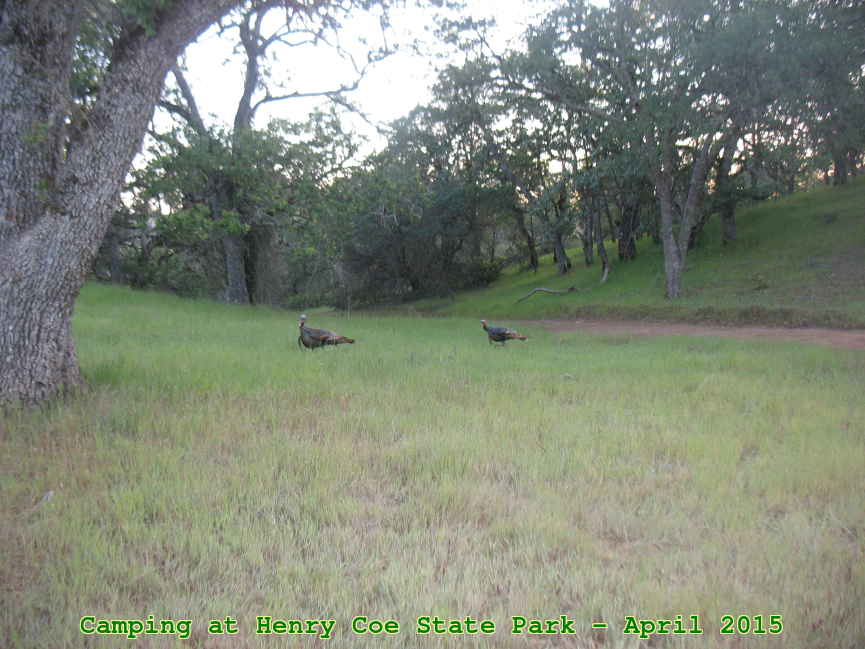 Picture 0030