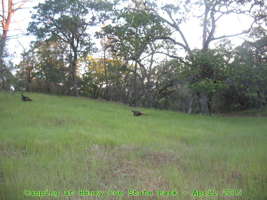 Picture 0031