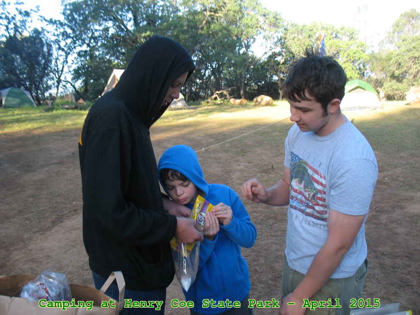 Picture 0035