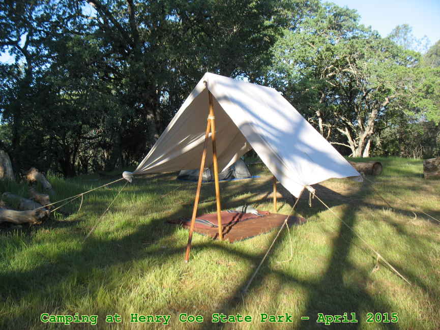 Picture 0037