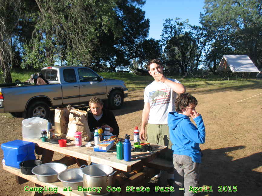 Picture 0041