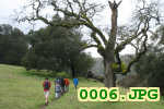 Picture 0006