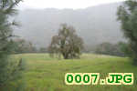 Picture 0007