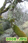 Picture 0008
