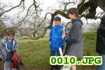 Picture 0010
