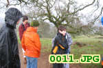 Picture 0011