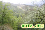 Picture 0012