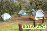 Picture 0016