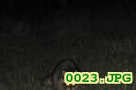 Picture 0023