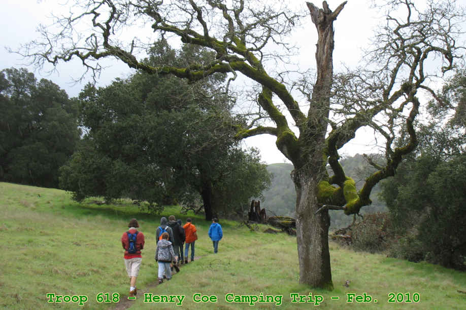Picture 0006
