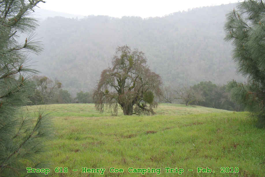 Picture 0007