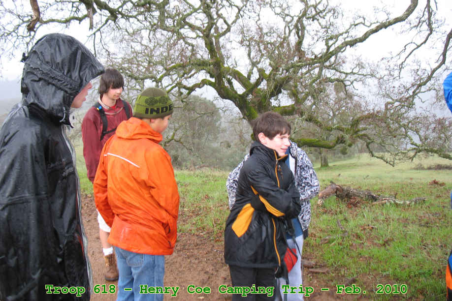 Picture 0011