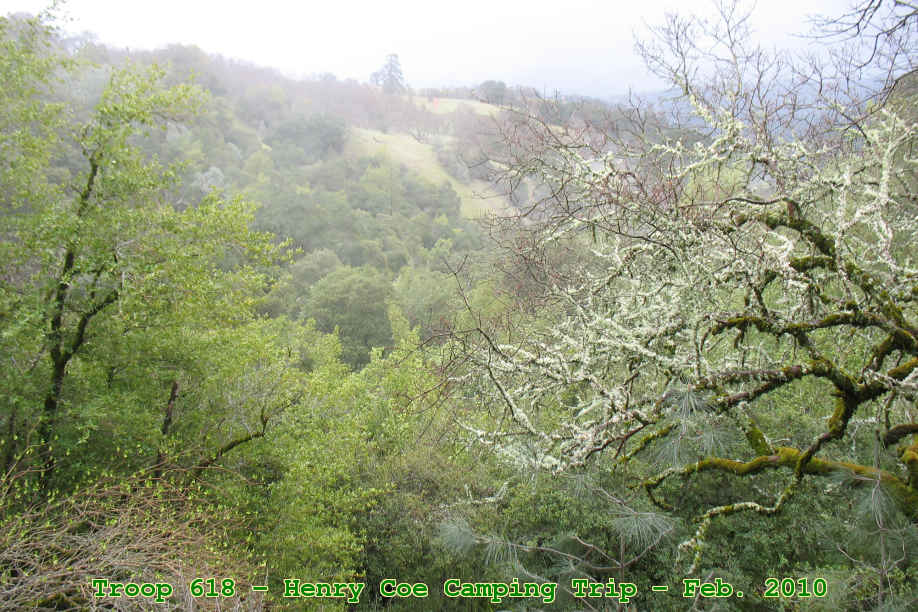 Picture 0012