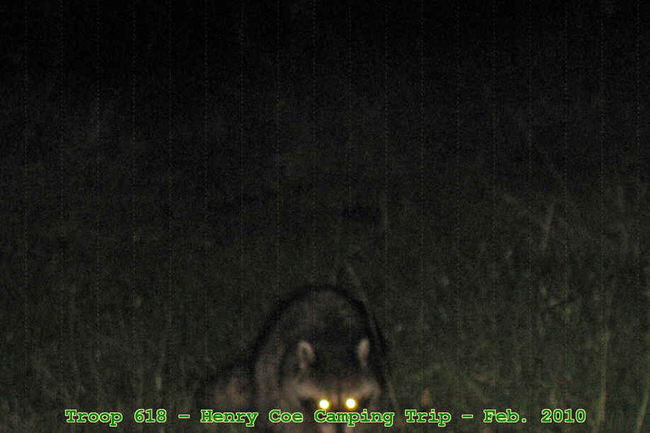 Picture 0023