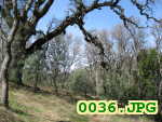 Picture 0036