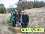 Picture 0037