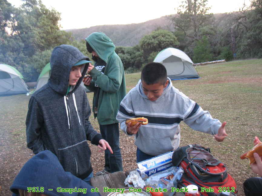 Picture 0008