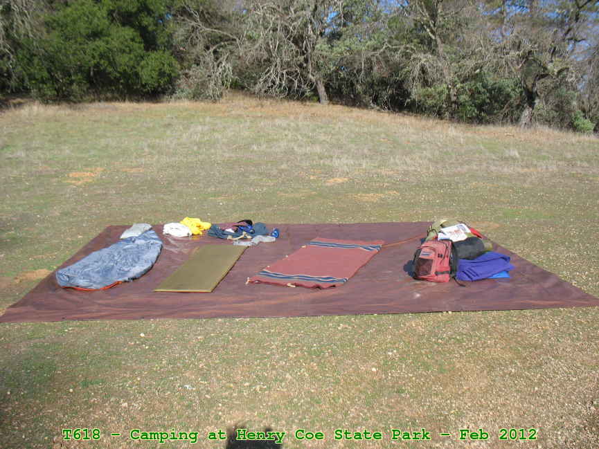 Picture 0029