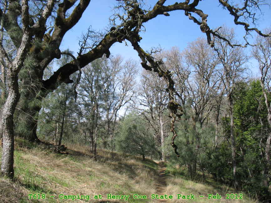 Picture 0036