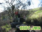 Picture 0007