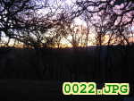 Picture 0022