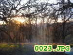 Picture 0023
