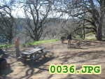 Picture 0036