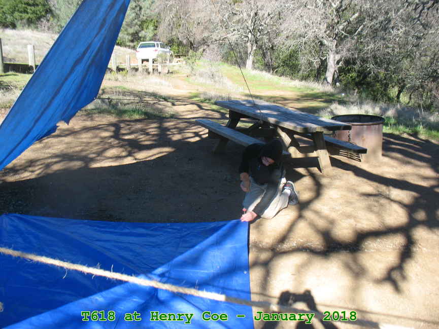 Picture 0005