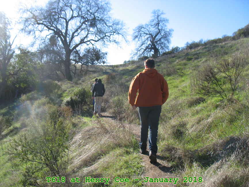Picture 0006