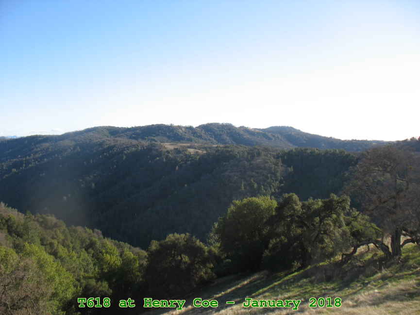 Picture 0008