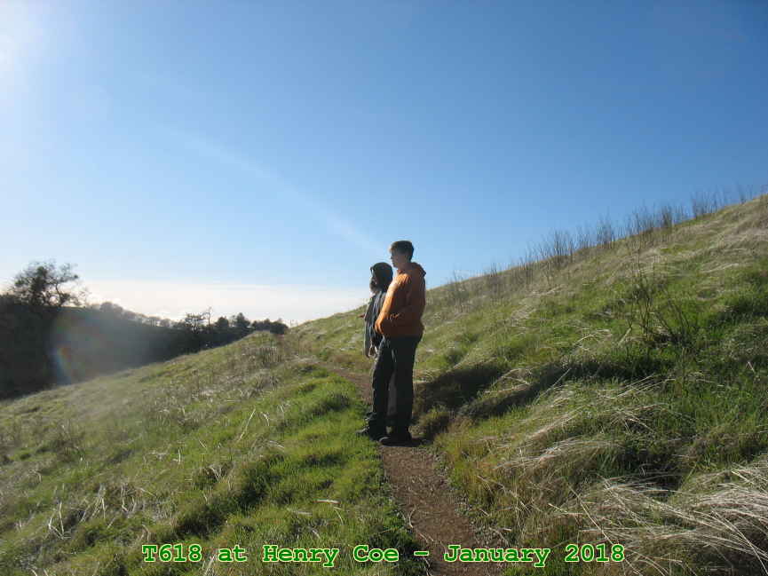 Picture 0010