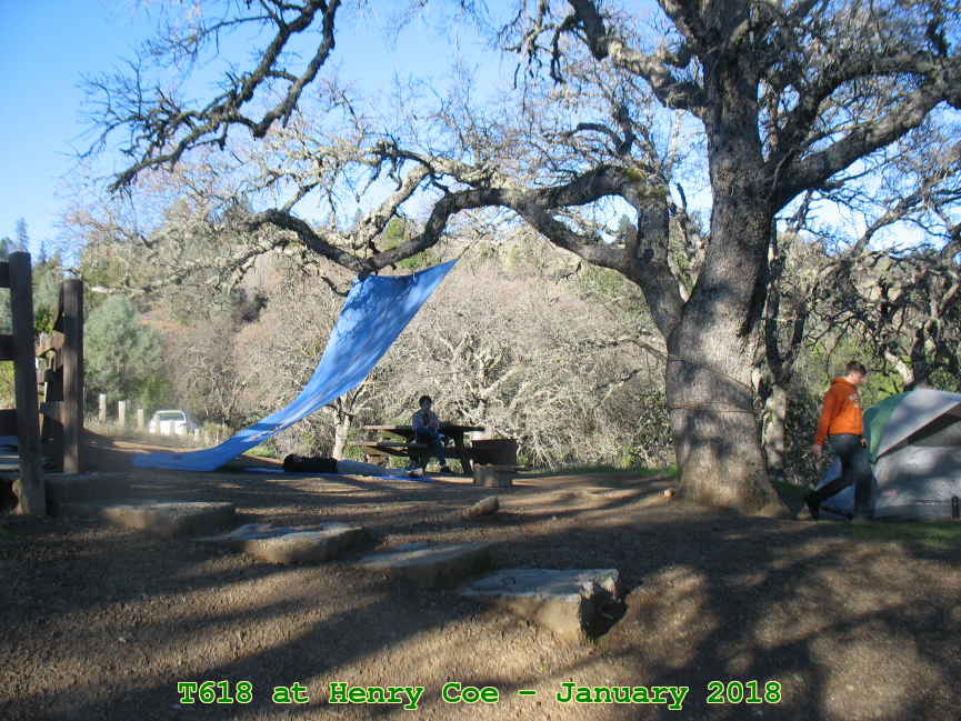 Picture 0011