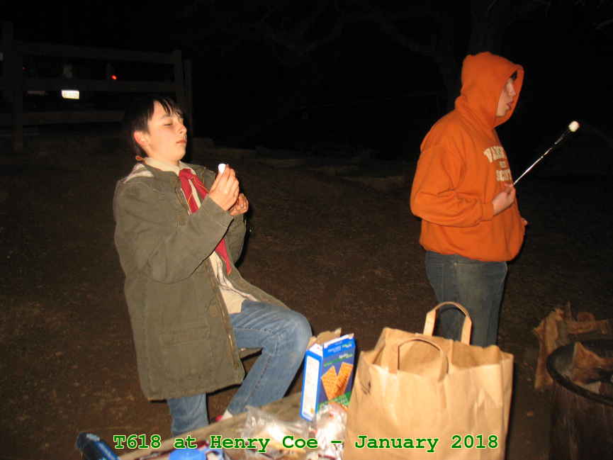 Picture 0019