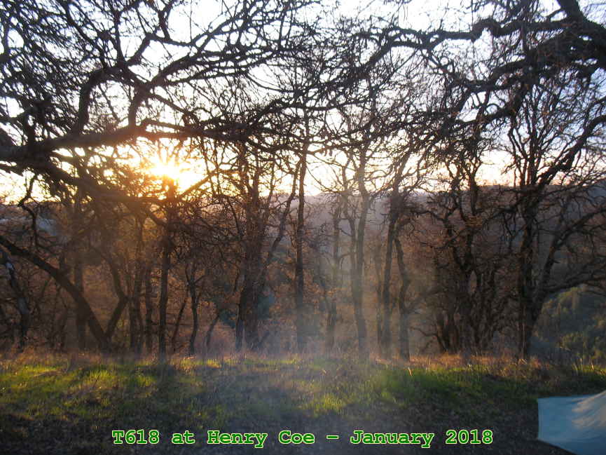 Picture 0023